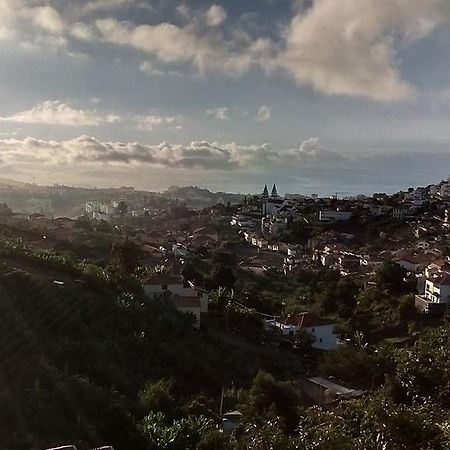 Vista Funchal Lägenhet Exteriör bild